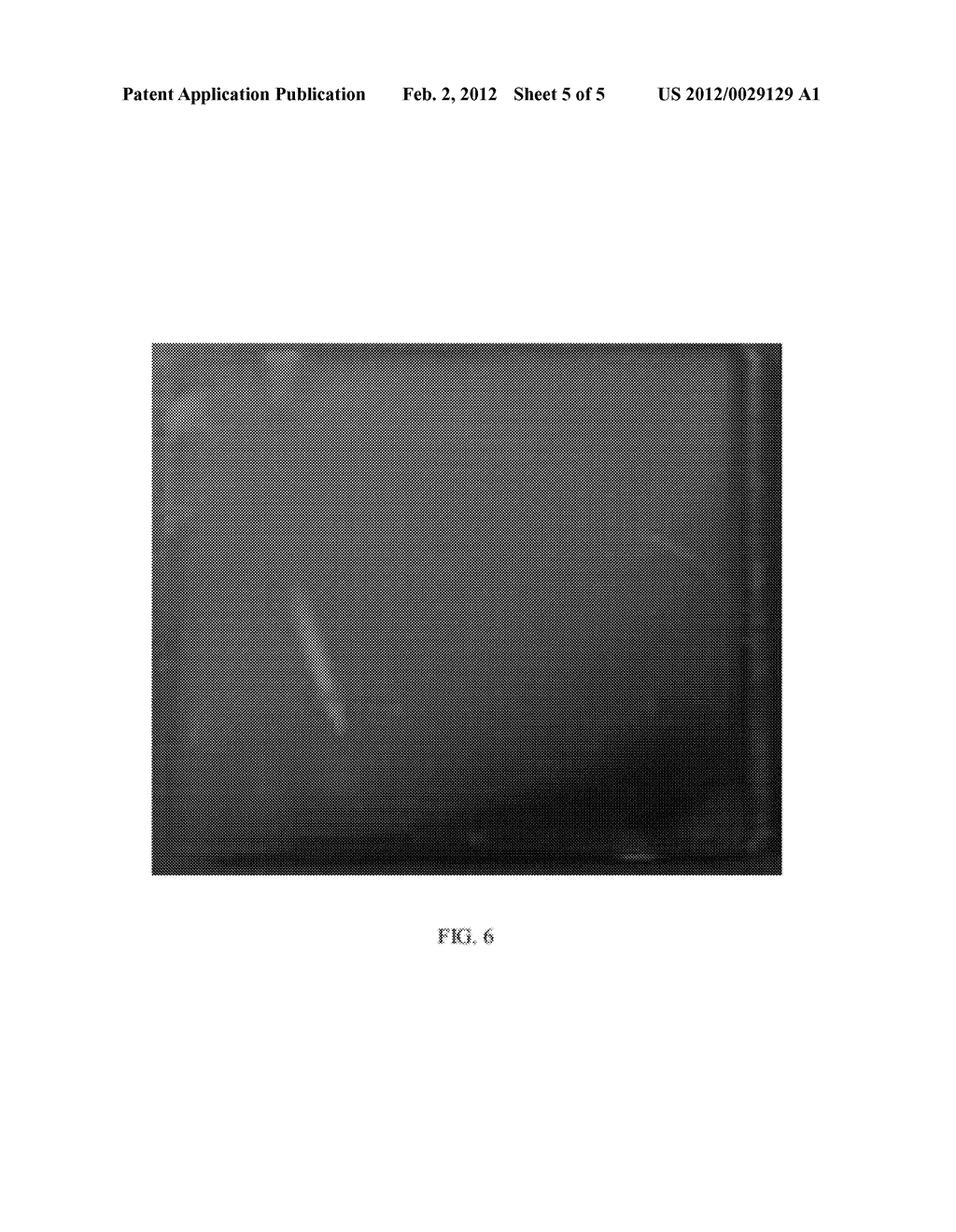 POLYAMIDE/POLY(ARYLENE ETHER) COMPOSITION, ARTICLE, AND METHOD - diagram, schematic, and image 06