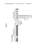 METHODS AND COMPOSITIONS COMPRISING TAU OLIGOMERS diagram and image