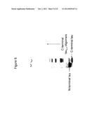 METHODS AND COMPOSITIONS COMPRISING TAU OLIGOMERS diagram and image