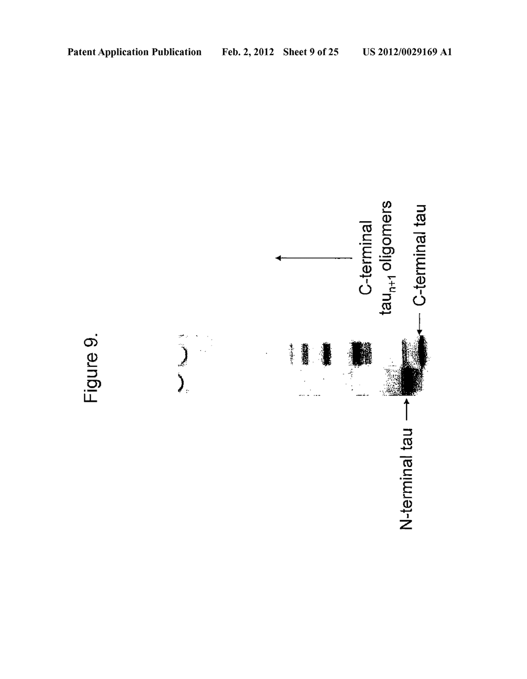 METHODS AND COMPOSITIONS COMPRISING TAU OLIGOMERS - diagram, schematic, and image 10