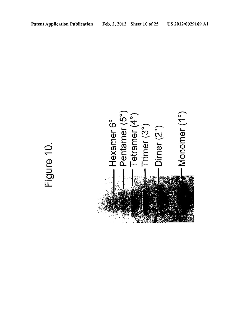 METHODS AND COMPOSITIONS COMPRISING TAU OLIGOMERS - diagram, schematic, and image 11