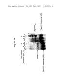 METHODS AND COMPOSITIONS COMPRISING TAU OLIGOMERS diagram and image