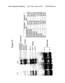 METHODS AND COMPOSITIONS COMPRISING TAU OLIGOMERS diagram and image