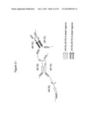 METHODS AND COMPOSITIONS COMPRISING TAU OLIGOMERS diagram and image