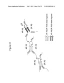 METHODS AND COMPOSITIONS COMPRISING TAU OLIGOMERS diagram and image