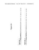 METHODS AND COMPOSITIONS COMPRISING TAU OLIGOMERS diagram and image