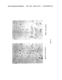 METHODS OF PROTEIN  EXTRACTION FROM SUBSTANTIALLY INTACT ALGAL CELLS diagram and image