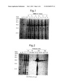 Protein Complex and Process for Producing the Same diagram and image