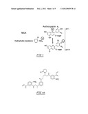 High-Purity Fractionation of Anthocyanins from Fruits and Vegetables diagram and image