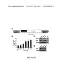 Stem Cell Differentiating Agents and Uses Therefor diagram and image