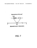 Stem Cell Differentiating Agents and Uses Therefor diagram and image