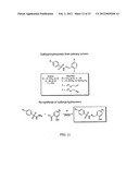 Stem Cell Differentiating Agents and Uses Therefor diagram and image