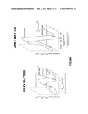 IDENTIFICATION, DIAGNOSIS, AND TREATMENT OF NEUROPATHOLOGIES,     NEUROTOXICITIES, TUMORS, AND BRAIN AND SPINAL CORD INJURIES USING     ELECTRODES WITH MICROVOLTAMMETRY diagram and image