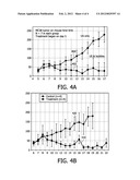 TUMOR TREATMENT USING ULTRASOUND CAVITATION diagram and image