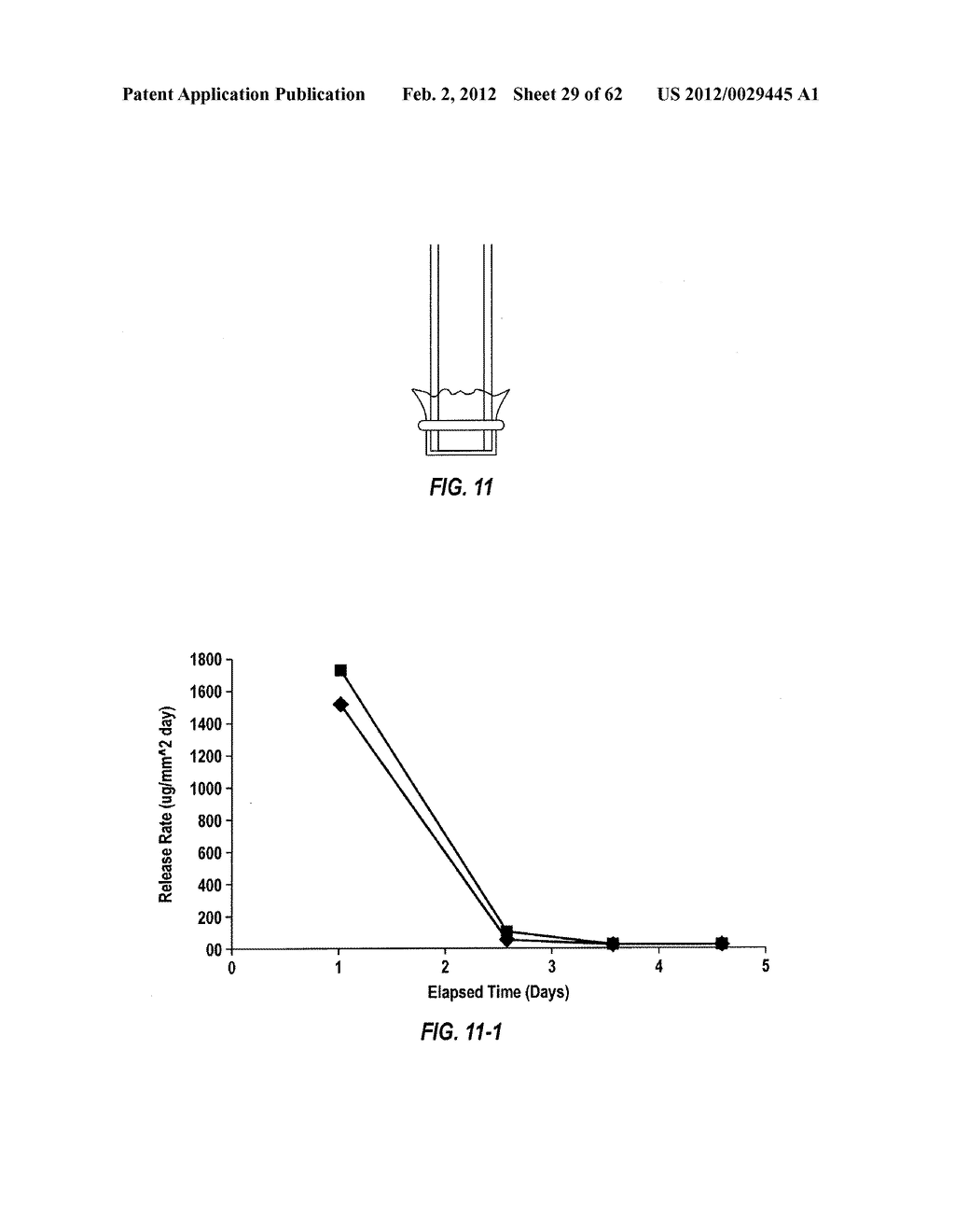 POSTERIOR SEGMENT DRUG DELIVERY - diagram, schematic, and image 30