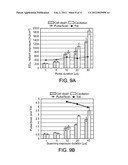 DOSE DETERMINATION FOR INDUCING MICROCAVITATION IN RETINAL PIGMENT     EPITHELIUM (RPE) diagram and image