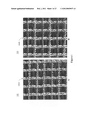 PROSTHETIC DEVICE AND METHOD OF MANUFACTURING THE SAME diagram and image