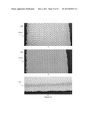 PROSTHETIC DEVICE AND METHOD OF MANUFACTURING THE SAME diagram and image