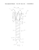 METHOD OF DELIVERING ADVANCED ENDOVASCULAR GRAFT diagram and image