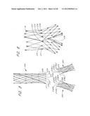 GRAFT DEPLOYMENT SYSTEM diagram and image