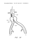 GRAFT DEPLOYMENT SYSTEM diagram and image