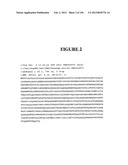 NOVEL GENE DISRUPTIONS, COMPOSITIONS AND METHODS RELATING THERETO diagram and image