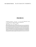 NOVEL GENE DISRUPTIONS, COMPOSITIONS AND METHODS RELATING THERETO diagram and image