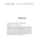 NOVEL GENE DISRUPTIONS, COMPOSITIONS AND METHODS RELATING THERETO diagram and image