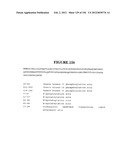 NOVEL GENE DISRUPTIONS, COMPOSITIONS AND METHODS RELATING THERETO diagram and image