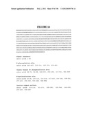 NOVEL GENE DISRUPTIONS, COMPOSITIONS AND METHODS RELATING THERETO diagram and image