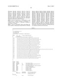 NOVEL GENE DISRUPTIONS, COMPOSITIONS AND METHODS RELATING THERETO diagram and image