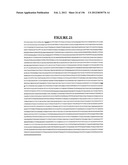 NOVEL GENE DISRUPTIONS, COMPOSITIONS AND METHODS RELATING THERETO diagram and image