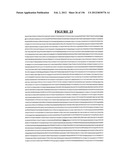 NOVEL GENE DISRUPTIONS, COMPOSITIONS AND METHODS RELATING THERETO diagram and image