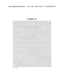 NOVEL GENE DISRUPTIONS, COMPOSITIONS AND METHODS RELATING THERETO diagram and image