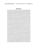 NOVEL GENE DISRUPTIONS, COMPOSITIONS AND METHODS RELATING THERETO diagram and image