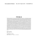 NOVEL GENE DISRUPTIONS, COMPOSITIONS AND METHODS RELATING THERETO diagram and image