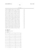 NOVEL GENE DISRUPTIONS, COMPOSITIONS AND METHODS RELATING THERETO diagram and image