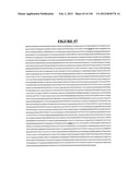 NOVEL GENE DISRUPTIONS, COMPOSITIONS AND METHODS RELATING THERETO diagram and image