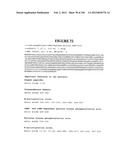 NOVEL GENE DISRUPTIONS, COMPOSITIONS AND METHODS RELATING THERETO diagram and image