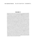 NOVEL GENE DISRUPTIONS, COMPOSITIONS AND METHODS RELATING THERETO diagram and image