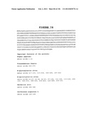 NOVEL GENE DISRUPTIONS, COMPOSITIONS AND METHODS RELATING THERETO diagram and image