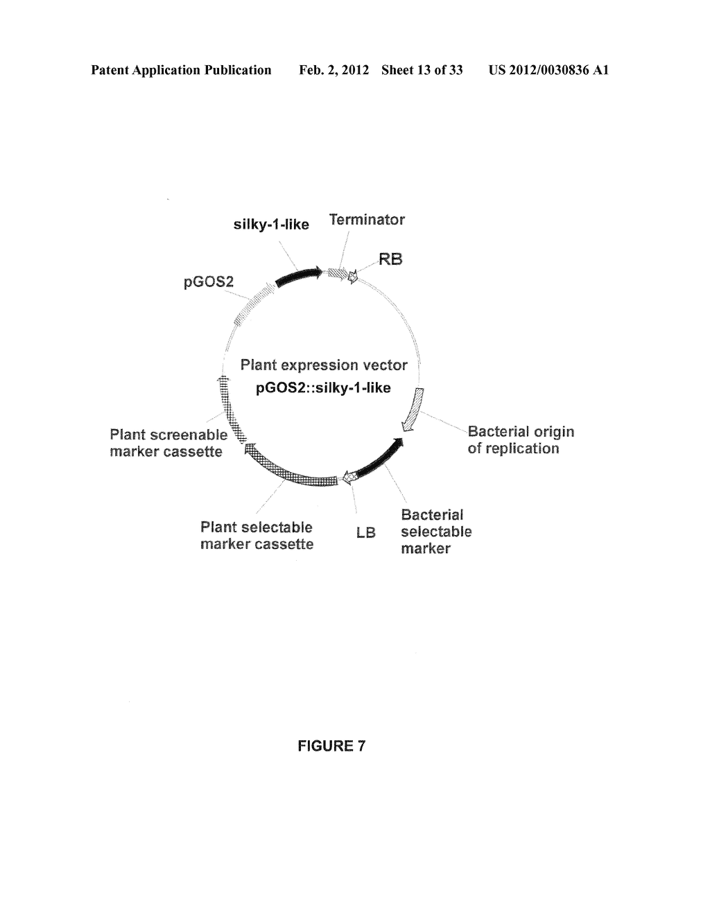 Plants Having Enhanced Abiotic Stress Tolerance and/or Enhanced     Yield-Related Traits and a Method for Making the Same - diagram, schematic, and image 14