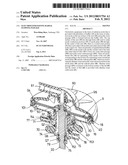 Electrolyzer having radial flowing passage diagram and image