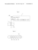 CARBURIZATION SENSING METHOD diagram and image