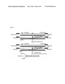 Data Security Screen and Manufacturing Method Thereof diagram and image