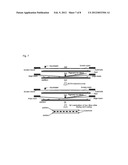 Data Security Screen and Manufacturing Method Thereof diagram and image