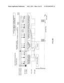 WIRELESS COMMUNICATION TERMINAL APPARATUS, WIRELESS COMMUNICATION BASE     STATION APPARATUS, AND WIRELESS COMMUNICATION METHOD diagram and image