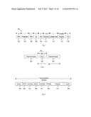 Multi-Network Compatible Data Architecture diagram and image