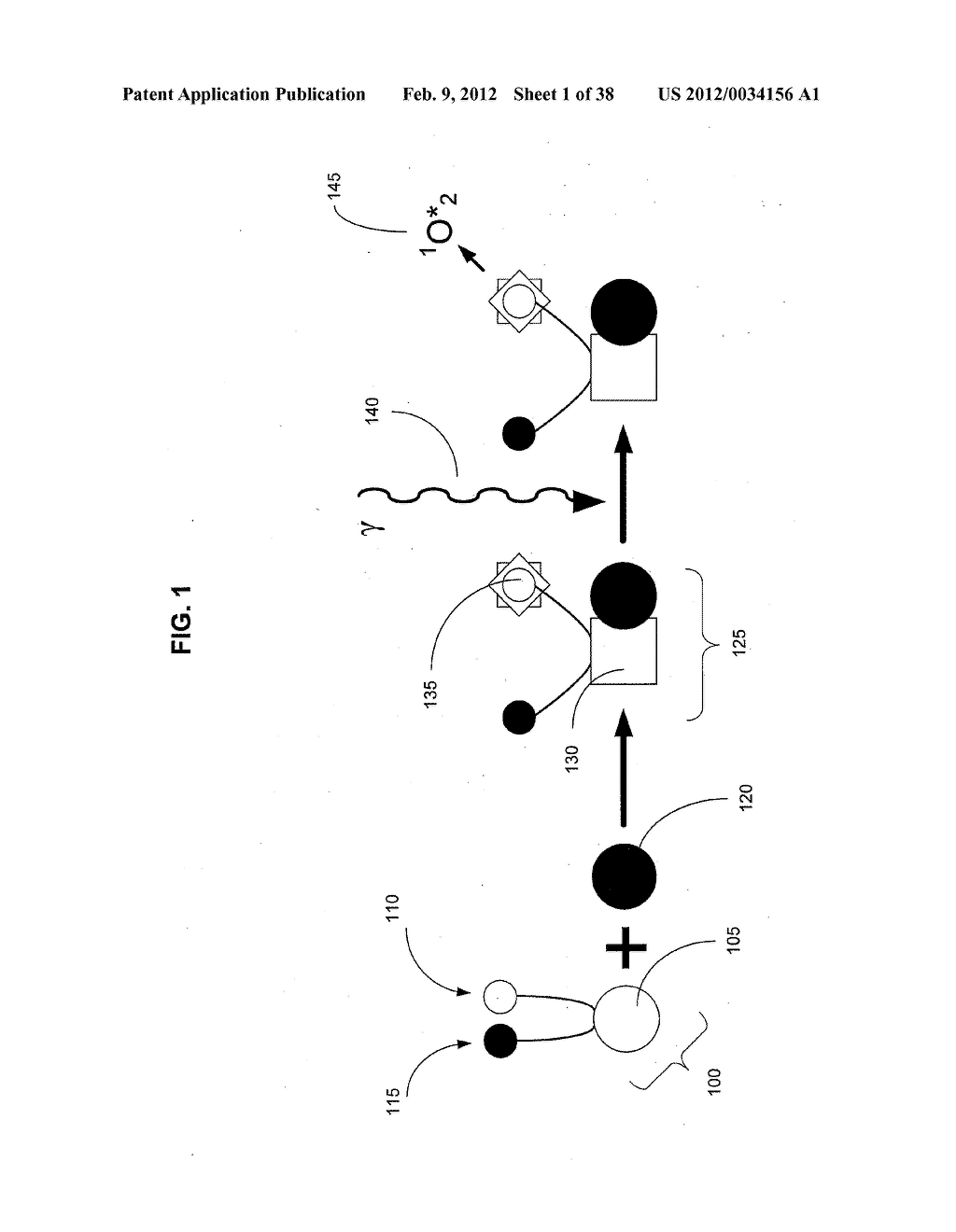 Artificial cells - diagram, schematic, and image 02