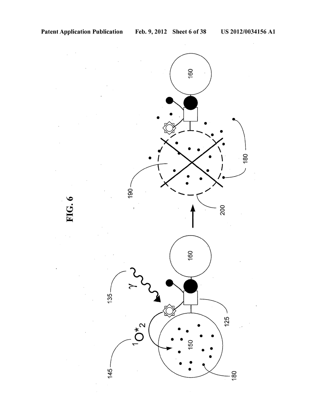 Artificial cells - diagram, schematic, and image 07